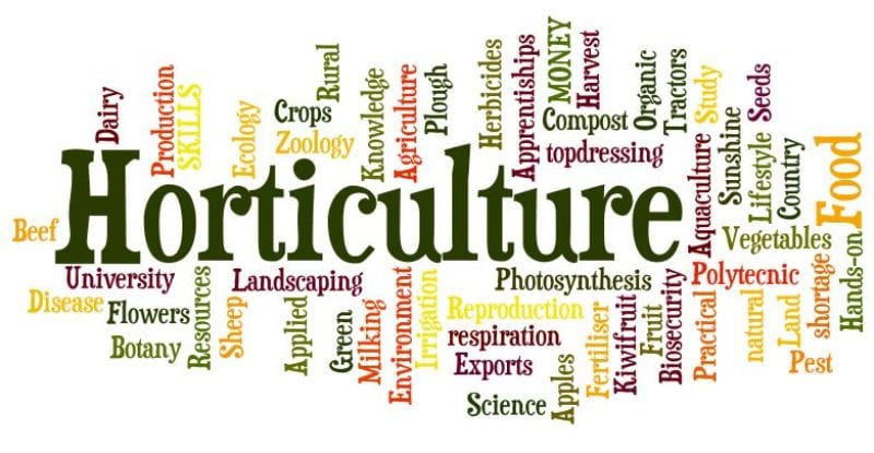 Horticulture/ Agriculture